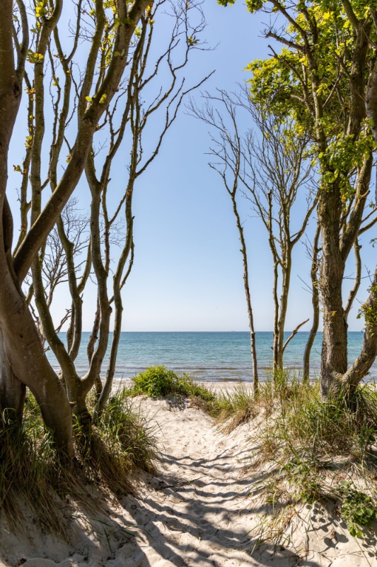 Profilbild von Herbert Hartwig Kamer